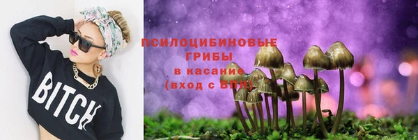 экстази Сатка