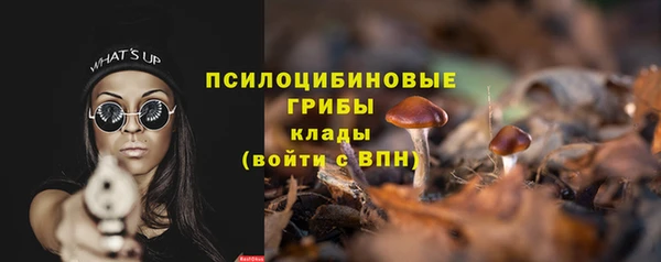 стафф Алексеевка