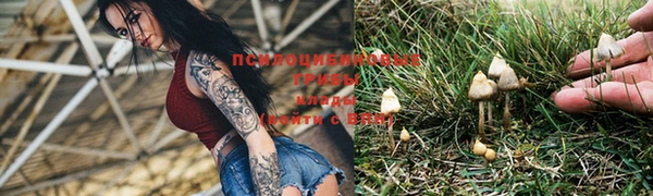 стафф Алзамай