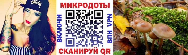 Галлюциногенные грибы мухоморы  что такое   Завитинск 